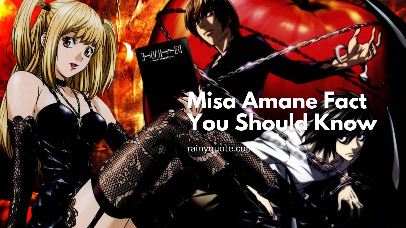 Misa Amane Fact You Should Know