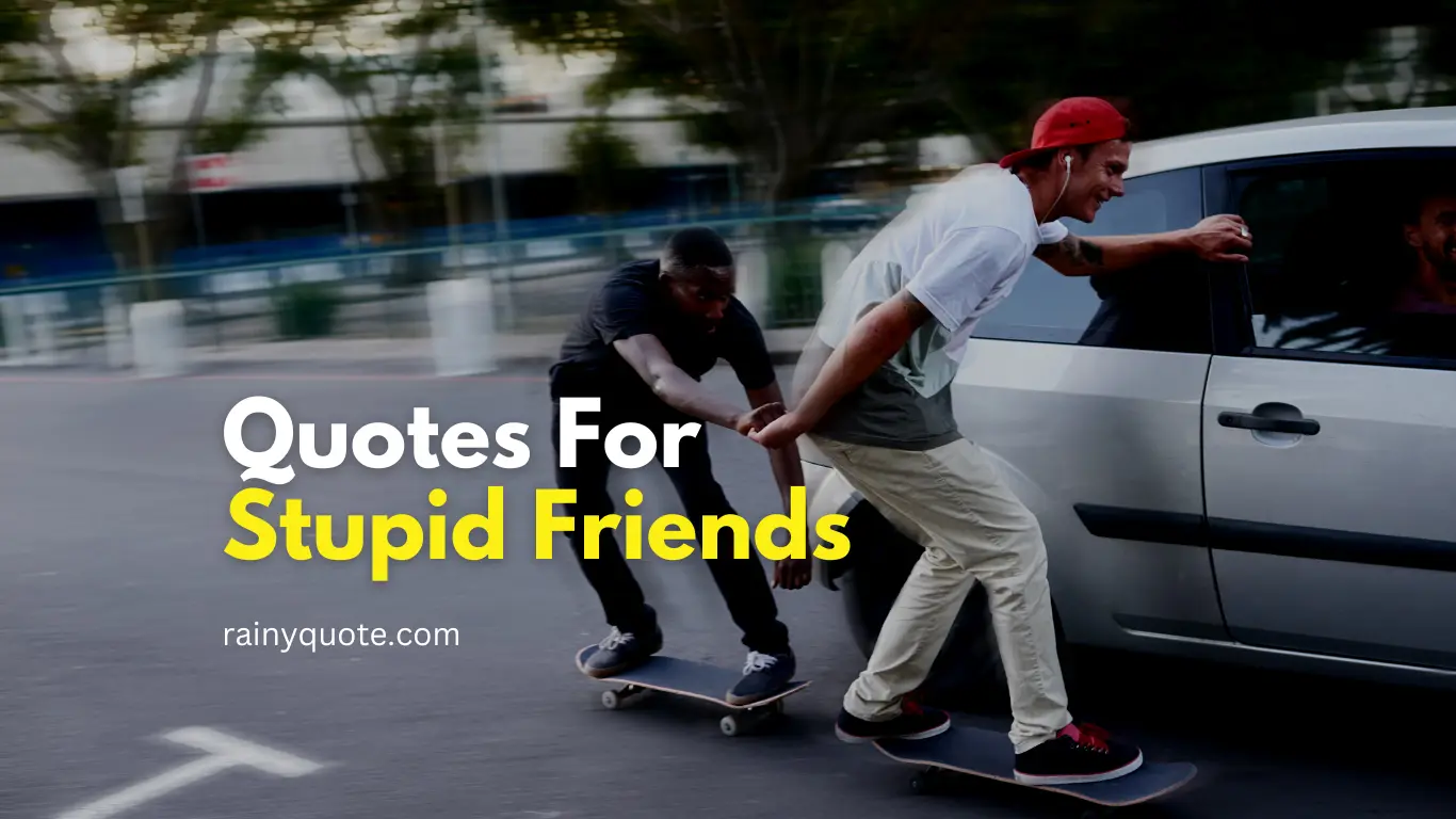 Quotes For Stupid Friends
