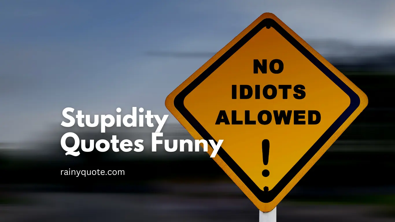 Stupidity Quotes Funny
